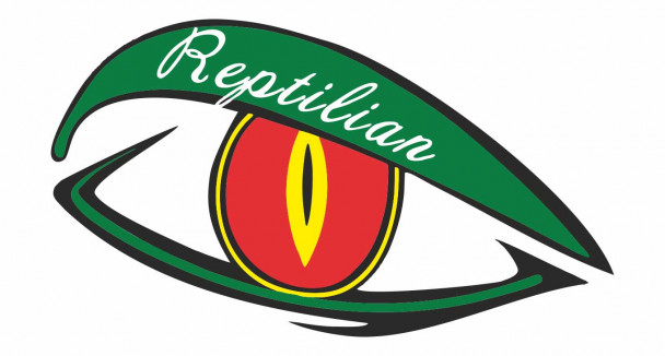 Сертификат ножей Reptilian Сертификат ножей Reptilian