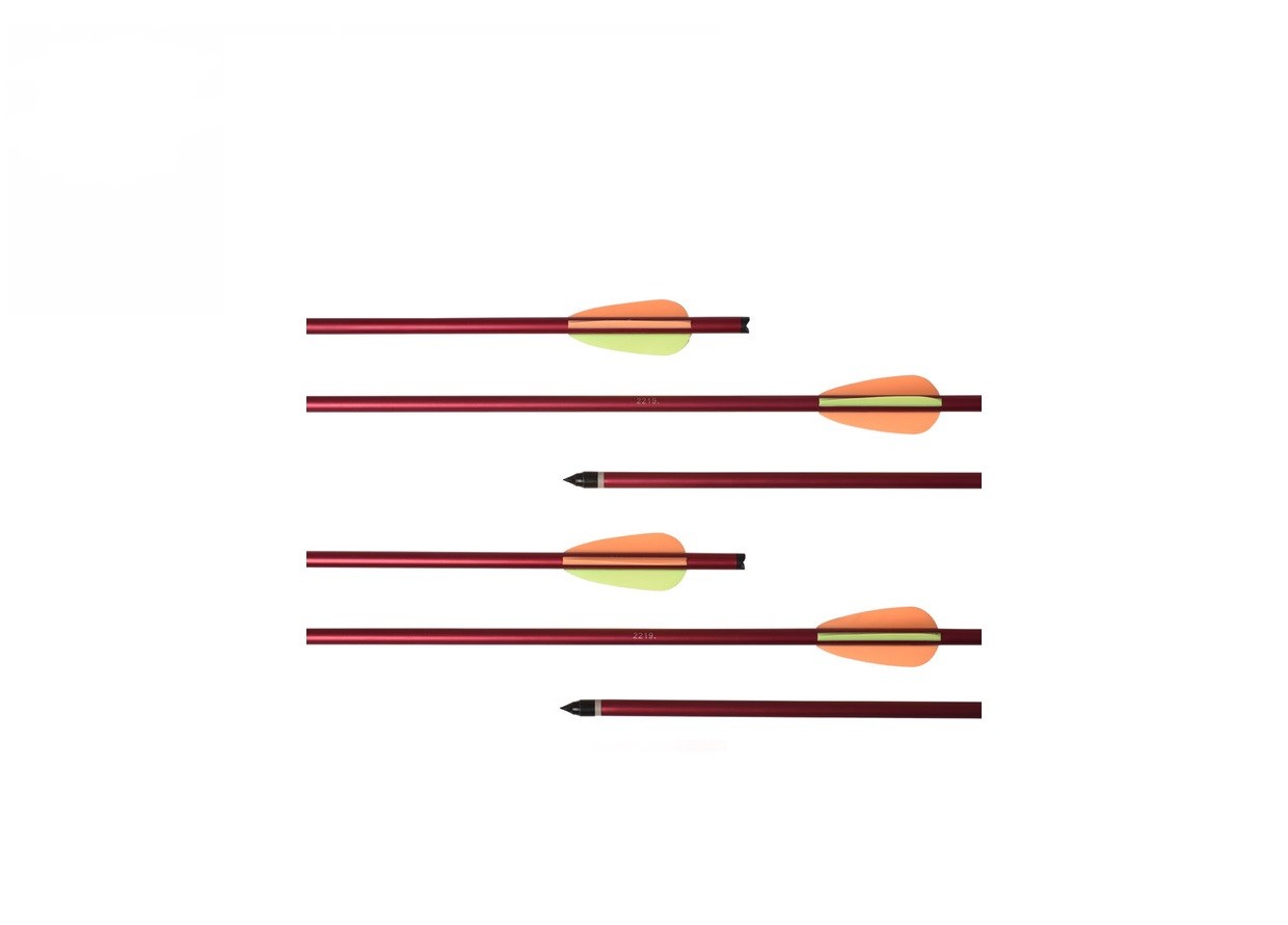 Стрела арбалетная алюминиевая Ek 22" Ek Archery/Poe Lang D-074BV5 Стрела арбалетная алюминиевая Ek 22" Ek Archery/Poe Lang D-074BV5