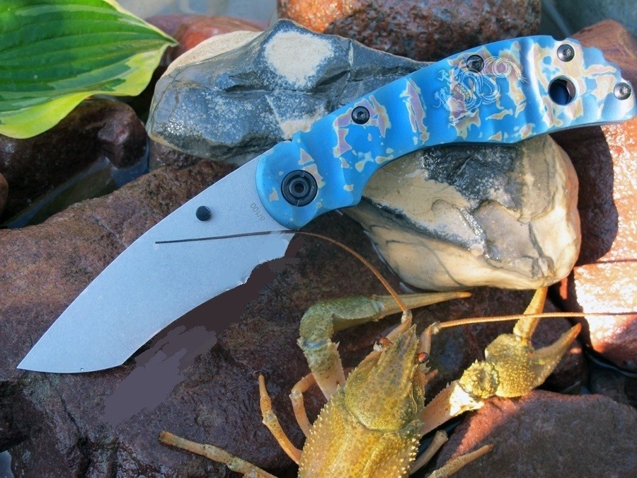 Складной нож Steelclaw Рак AA4s, S35VN, 100 мм Складной нож Steelclaw Рак AA4s, S35VN, 100 мм