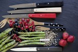 Набор столовых ножей Opinel CELESTE N°125, цветные, нержавеющая сталь, 110 мм.
