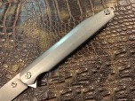 Складной нож Steelclaw Джентльмен 2-1, gen02-1, AUS-8A